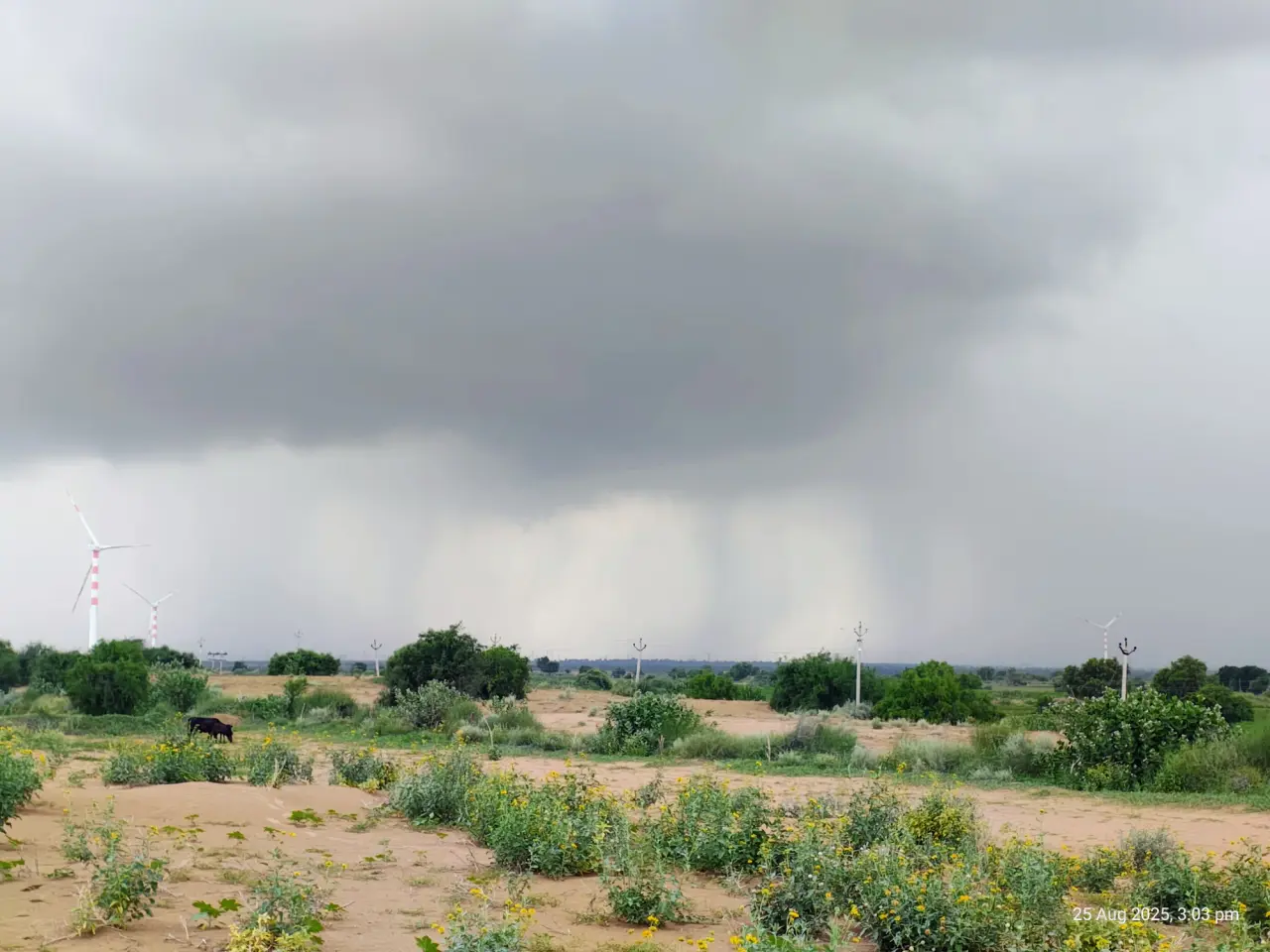 Soil Moisture Sensors at Jaisalmer, photo 40 of 50