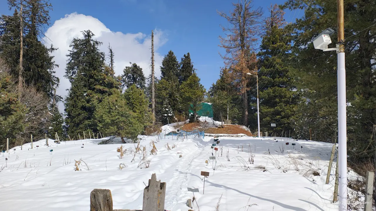 PhenoCam Site Selection at Kashmir, photo 5 of 26