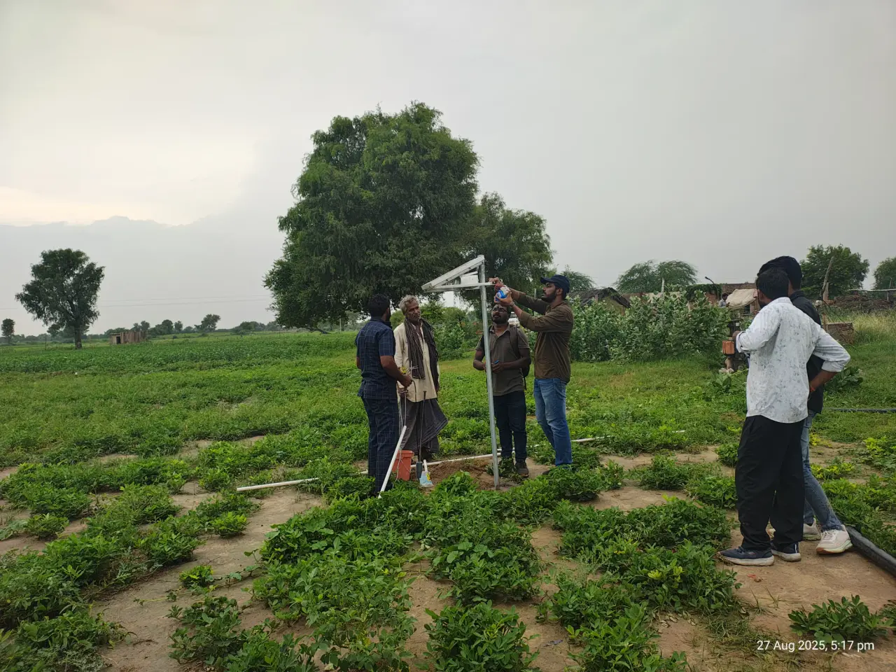 Soil Moisture Sensors at Jaisalmer, photo 21 of 50