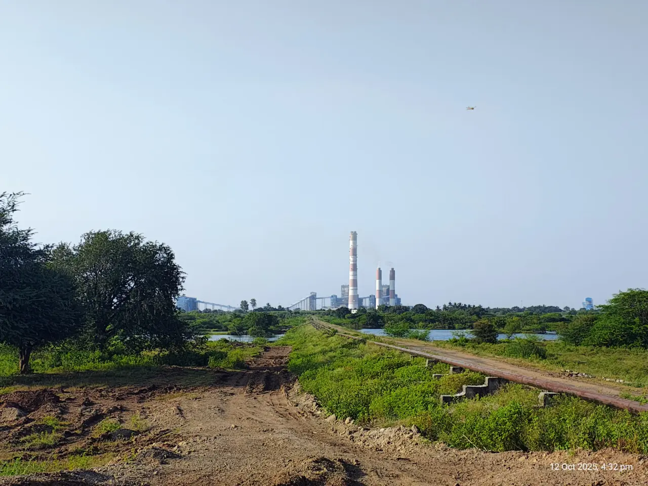 Plantation Health Assessment at NTPC, photo 23 of 38