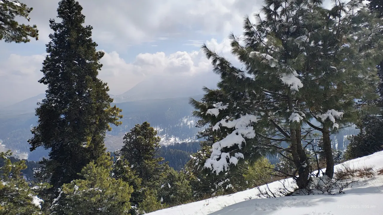 PhenoCam Site Selection at Kashmir, photo 13 of 26