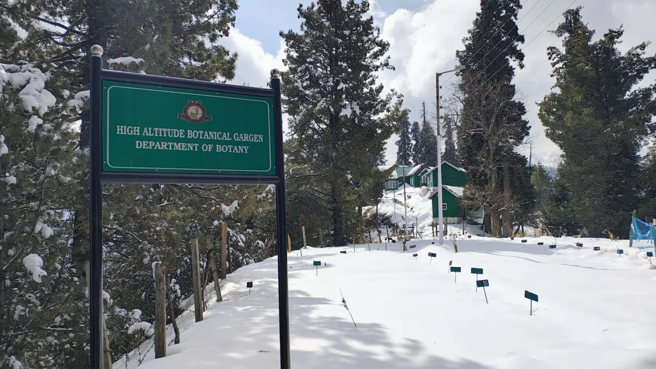 PhenoCam Site Selection at Kashmir, photo 26 of 26