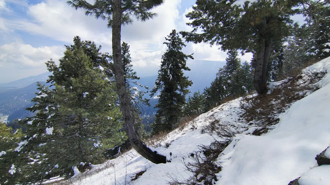 PhenoCam Site Selection at Kashmir, photo 14 of 26
