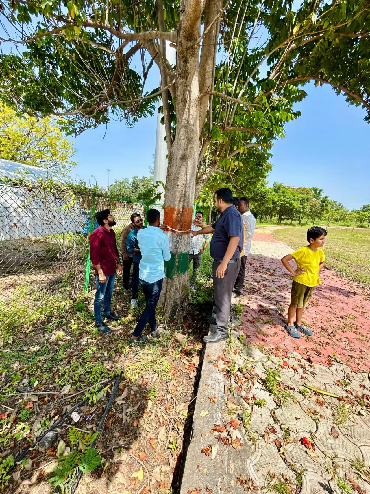 Plantation Health Assessment at NTPC, photo 27 of 38