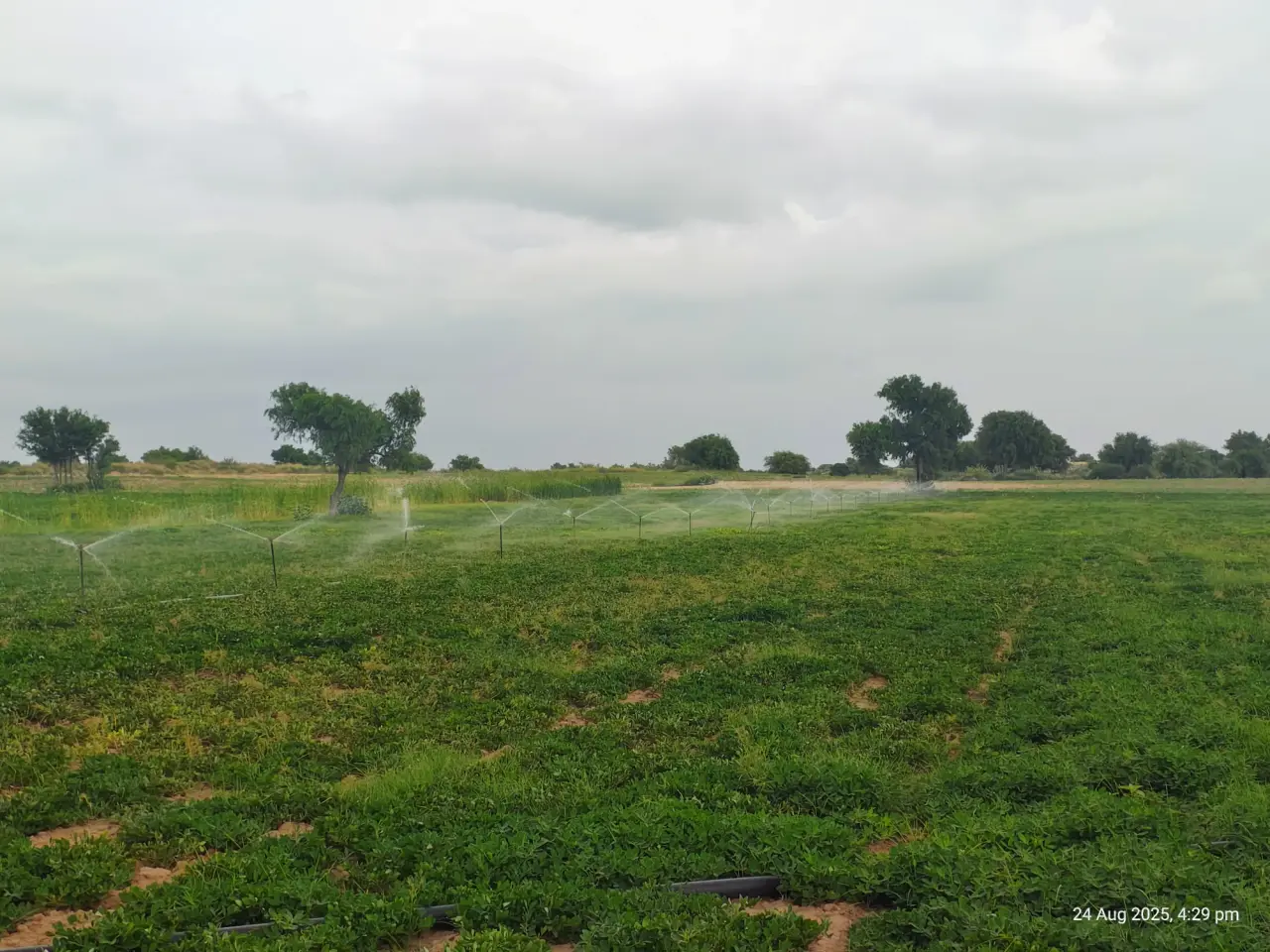 Soil Moisture Sensors at Jaisalmer, photo 39 of 50