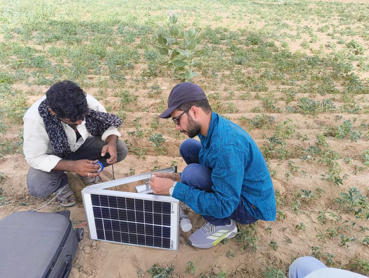 Soil Moisture Sensors at Jaisalmer, photo 11 of 50