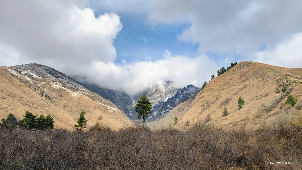 PhenoCam Site Selection at Kashmir, photo 8 of 26