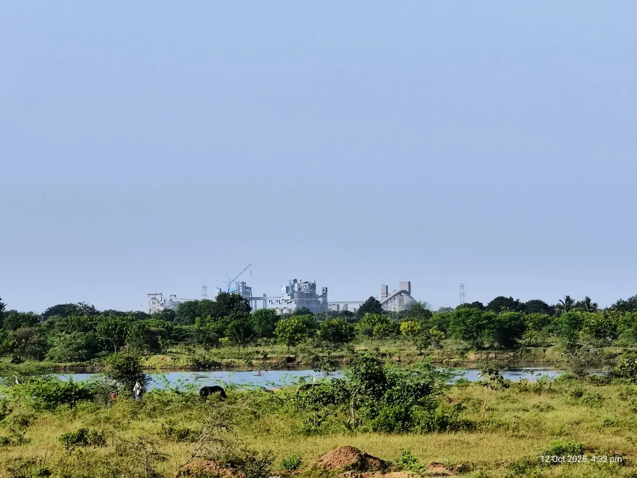 Plantation Health Assessment at NTPC, photo 24 of 38