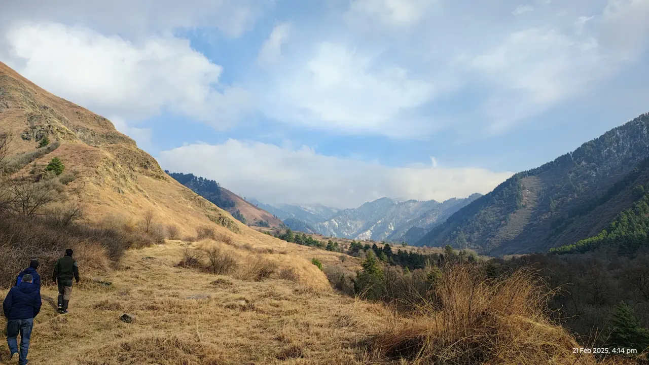 PhenoCam Site Selection at Kashmir, photo 7 of 26