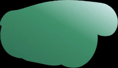 PhenoCam mark