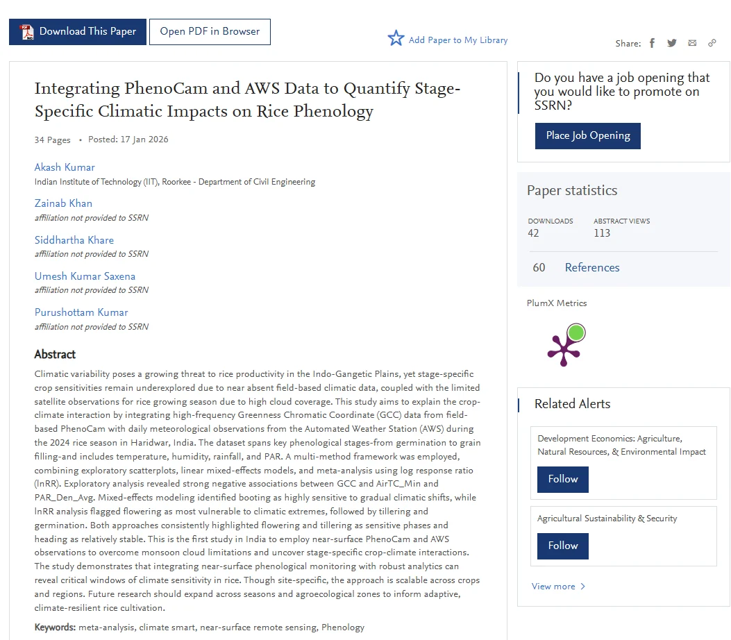 SSRN preprint page preview for the rice phenology paper